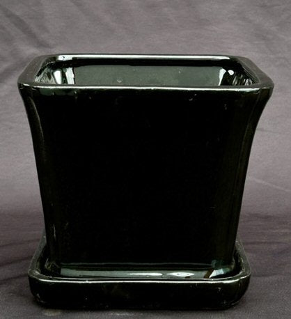 Black Ceramic Bonsai Pot Square With Attached Humidity / Drip Tray   5.25" x 5.25" x 5.5" - Culture Kraze Marketplace.com