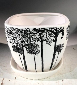 Tree Silhouette Bonsai Pot - Square With Attached Humidity / Drip Tray 4.5" x 4.5" x 4" - Culture Kraze Marketplace.com