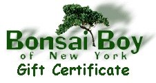 Gift Certificate - Personalized Tree Pictorial - Culture Kraze Marketplace.com