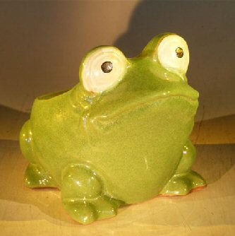 Green Frog Planter  7.0" x 9.0" x 7.5" - Culture Kraze Marketplace.com
