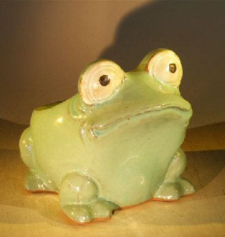 Light Blue Frog Planter  7.0" x 9.0" x 7.5" - Culture Kraze Marketplace.com