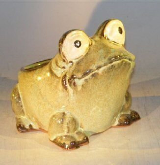 Light Green Frog Planter  7.0" x 9.0" x 7.5" - Culture Kraze Marketplace.com