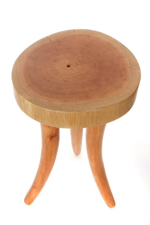 Cedrela Wood Tusk Accent Table - Culture Kraze Marketplace.com