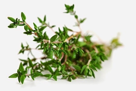 Angel’s Mist Thyme Essential Oil