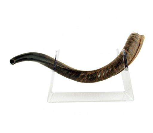 Lucite Stand Fits Yemenite Shofar 22-40 Inches Length - Culture Kraze Marketplace.com