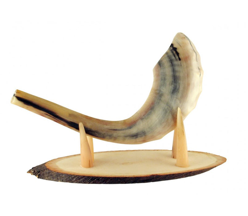 Oval Wood Shofar Stand with Kudu Tips Support - for Rams Horn Length 11-18" - Culture Kraze Marketplace.com
