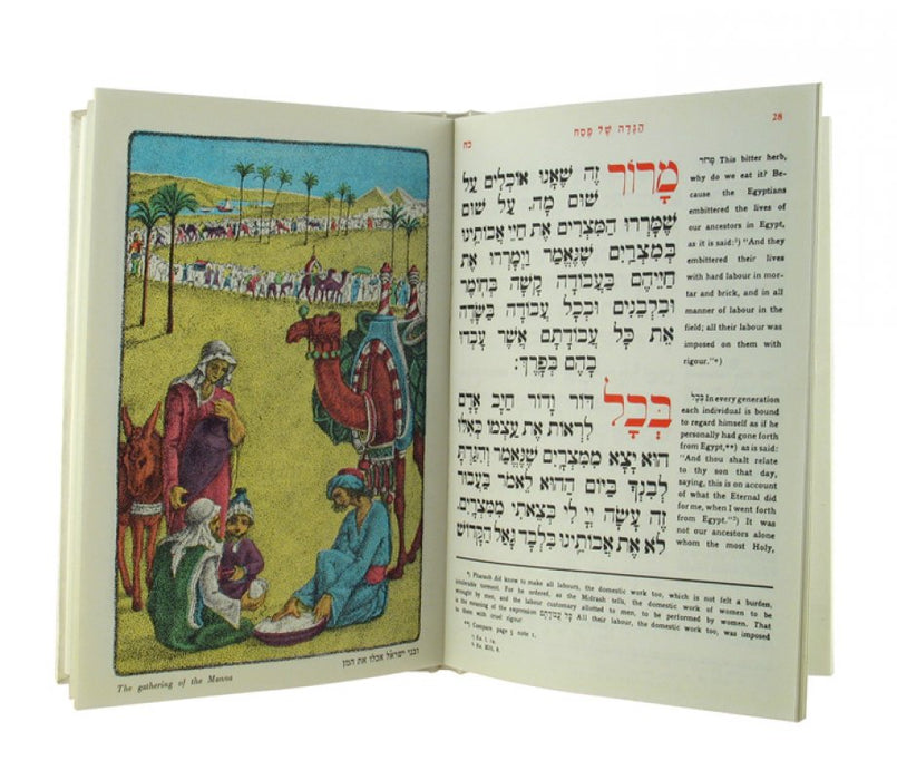 Haggadah with English Translation - Hardcover - Culture Kraze Marketplace.com