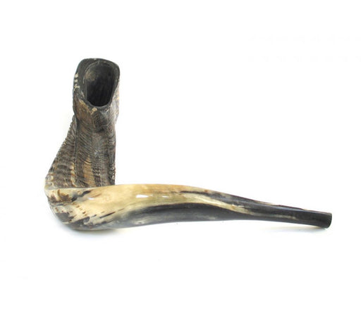 Extra Large Rams Horn Shofar with Dark Shades - Natural Finish - Culture Kraze Marketplace.com