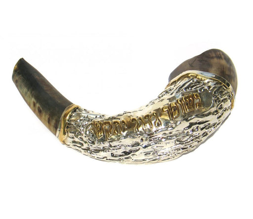 Sterling Silver plated Ram's Horn Shofar with Gold - Culture Kraze Marketplace.com