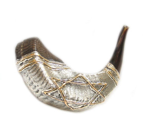 Silver and Gold Plated Shofar - Culture Kraze Marketplace.com
