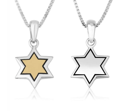 Star of David Pendant Necklace - Gold Plate and Sterling Silver - Culture Kraze Marketplace.com
