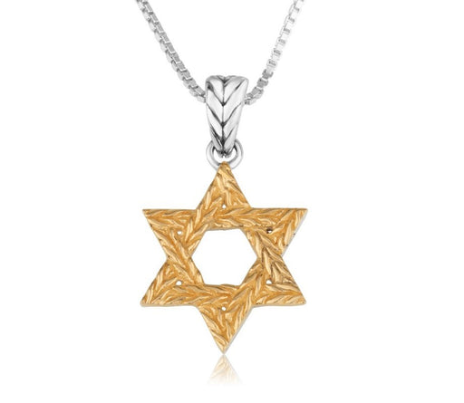 Gold Plated Sterling Silver Pendant Necklace - Textured Star of David - Culture Kraze Marketplace.com