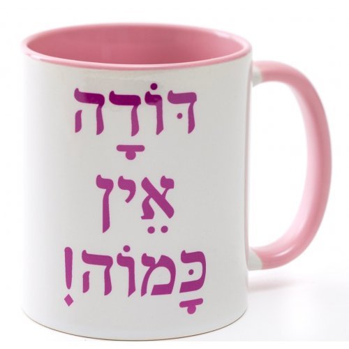 Barbara Shaw Coffee Mug, Amazing Aunt Tribute in Hebrew - Pink - Culture Kraze Marketplace.com