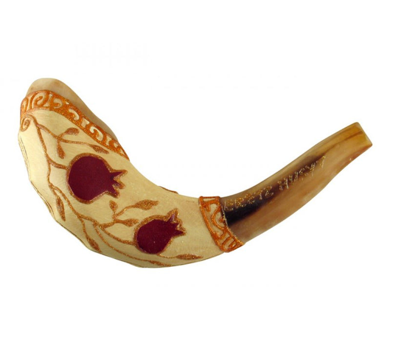 Light Hand Painted Rams Horn Shofar - Pomegranate - Culture Kraze Marketplace.com