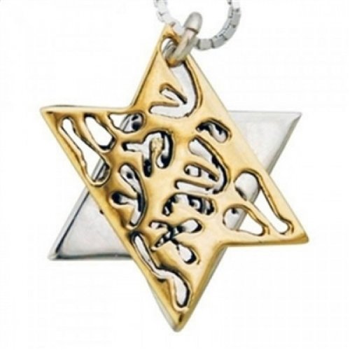 HaAri Jewelry Shema Yisrael Star of David Two-Tone Pendant 9K Gold & Sterling Silver - Culture Kraze Marketplace.com