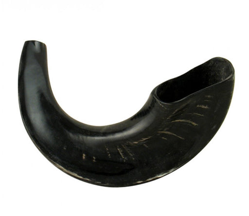 Medium Rams Horn Shofar with Dark Shades – Polished Finish - Culture Kraze Marketplace.com