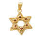 Gold Filled Star of David Garnet Pendant - Culture Kraze Marketplace.com