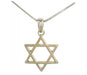 Classic Rhodium Silver Necklace with Magen David pendant - Culture Kraze Marketplace.com