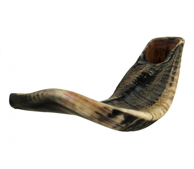 Large Black Rams Horn Shofar - Natural - Culture Kraze Marketplace.com
