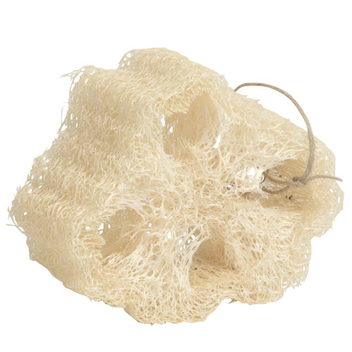 <center>Mayan Loofah Sponge crafted by Artisans in Guatemala </br>Measures 2” high x 3” wide x 3-1/4” deep</center>