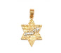 Gold Filled Western Wall Pendant - Star of David - Culture Kraze Marketplace.com