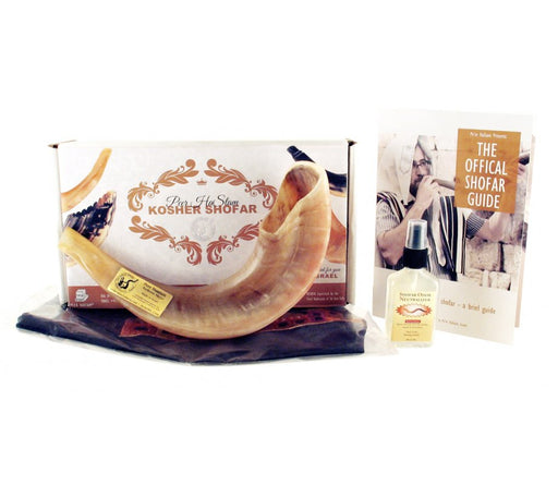 Polished Ram's Horn Shofar with Bag and Cleaning Spray Gift Set - Culture Kraze Marketplace.com