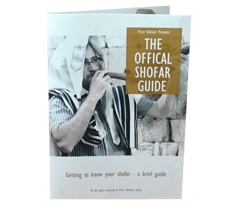 Large Yemenite Polished Shofar - Culture Kraze Marketplace.com