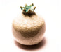 Michal Ben Yosef Decorative Ceramic Pomegranate – White - Culture Kraze Marketplace.com
