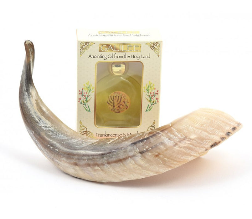 Anointing Shofar Made of a Natural Ram's Horn + Galilee Anointing Oil Frankincense and Myrrh - Culture Kraze Marketplace.com