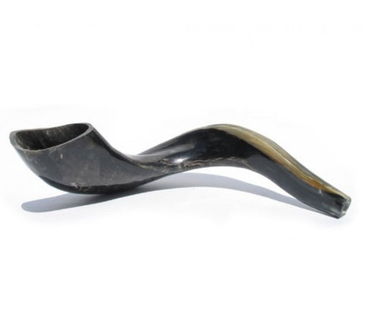 Polished Black Ram's Horn Shofar with Bag and Cleaning Spray Gift Set - Culture Kraze Marketplace.com