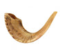 Natural Ram's Horn Shofar with Bag and Cleaning Spray Gift Set - Culture Kraze Marketplace.com