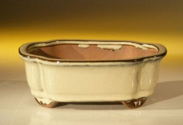 Beige Ceramic Bonsai Pot - Rectangle   6.125" x 5.0" x 2.125" - Culture Kraze Marketplace.com