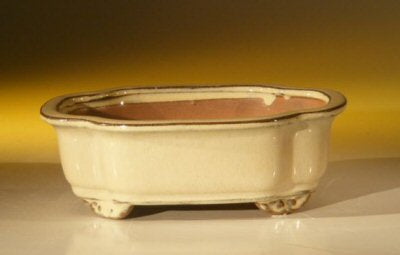 Beige Ceramic Bonsai Pot - Oval  7.0" x 5.5" x 2.375" - Culture Kraze Marketplace.com