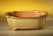 Beige Ceramic Bonsai Pot - Oval  8.0" x 6.0" x 2.5" - Culture Kraze Marketplace.com