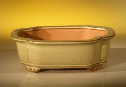 Beige Ceramic Bonsai Pot - Oval  8.0" x 6.0" x 2.5" - Culture Kraze Marketplace.com