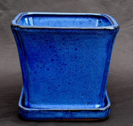 Blue Ceramic Bonsai Pot Square With Attached Humidity / Drip Tray   7.5" x 7.5" x 6.75" - Culture Kraze Marketplace.com