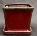 Parisian Red Ceramic Bonsai Pot Square With Attached Humidity / Drip Tray   5.25" x 5.25" x 5.5" - Culture Kraze Marketplace.com
