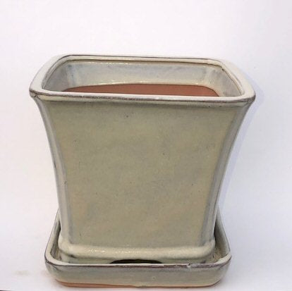 Beige Ceramic Bonsai Pot Square With Attached Humidity / Drip Tray   7.5" x 7.5" x 7.0" - Culture Kraze Marketplace.com
