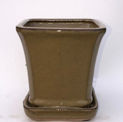 Olive Green Ceramic Bonsai Pot Square With Attached Humidity / Drip Tray   5.25" x 5.25" x 5.5" - Culture Kraze Marketplace.com
