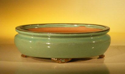 Green Ceramic Bonsai Pot - Oval   10" x 8" x 3.125" - Culture Kraze Marketplace.com