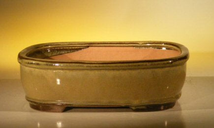Olive Green Ceramic Bonsai Pot - Rectangle  10" x 8" x 3.125" - Culture Kraze Marketplace.com