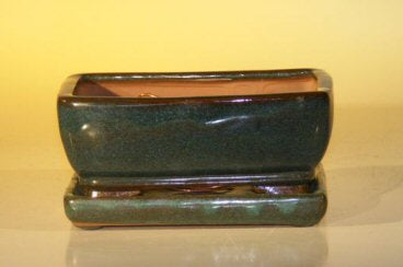 Green Ceramic Bonsai Pot With Attached Humidity/Drip tray - Professional Series Rectangle  6.37" x 4.75" x 2.625" - Culture Kraze Marketplace.com