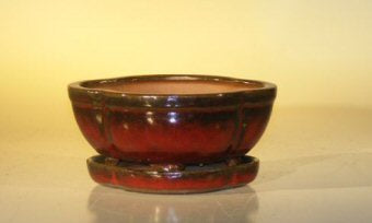 Parisian Red Ceramic Bonsai Pot- Oval  Attached Humidity/Drip Tray Professional Series 6.37" x 4.75" x 2.625" - Culture Kraze Marketplace.com
