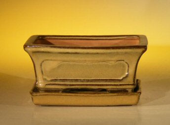 Olive Green Ceramic Bonsai Pot - Rectangle  Professional Series with Attached Humidity/Drip tray   6.37" x 4.75" x 2.625" - Culture Kraze Marketplace.com