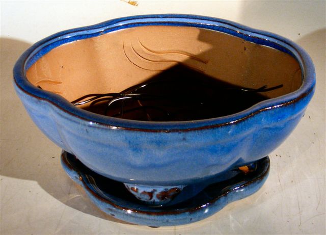 Blue Ceramic Bonsai Pot - Oval Professional Series with Attached Humidity/Drip tray  8.5" x 7" x 4" - Culture Kraze Marketplace.com