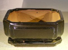 Black Ceramic Bonsai Pot- Rectangle  Professional Series With Attached Humidity/Drip Tray  8.5" x 6.75" x 4.0" - Culture Kraze Marketplace.com