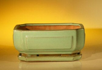Light Green Ceramic Bonsai Pot - Rectangle Professional Series With Attached Humidity/Drip tray  8.5" x 6.5" x 3.5" - Culture Kraze Marketplace.com