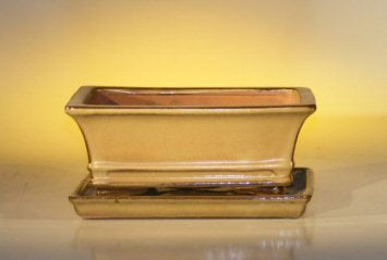 Olive Green Ceramic Bonsai Pot - Rectangle Professional Series with Attached Humidity/Drip tray  8.5" x 6.5" x 3.5" - Culture Kraze Marketplace.com