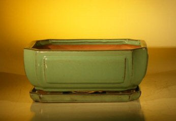 Green Ceramic Bonsai Pot - Rectangle  Professional Series With Attached Humidity/Drip tray  10.75" x 8.5" x 4.125" - Culture Kraze Marketplace.com