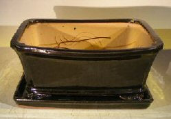 Black Ceramic Bonsai Pot- Rectangle  Professional Series with Attached Humidity/Drip Tray  10.0" x 9.0" x 4.5" - Culture Kraze Marketplace.com